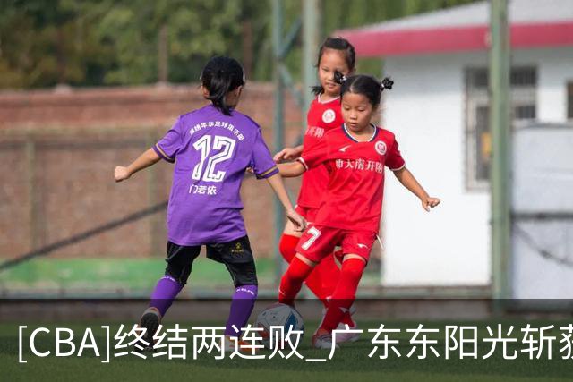 [CBA]终结两连败 广东东阳光斩获赛季首胜
